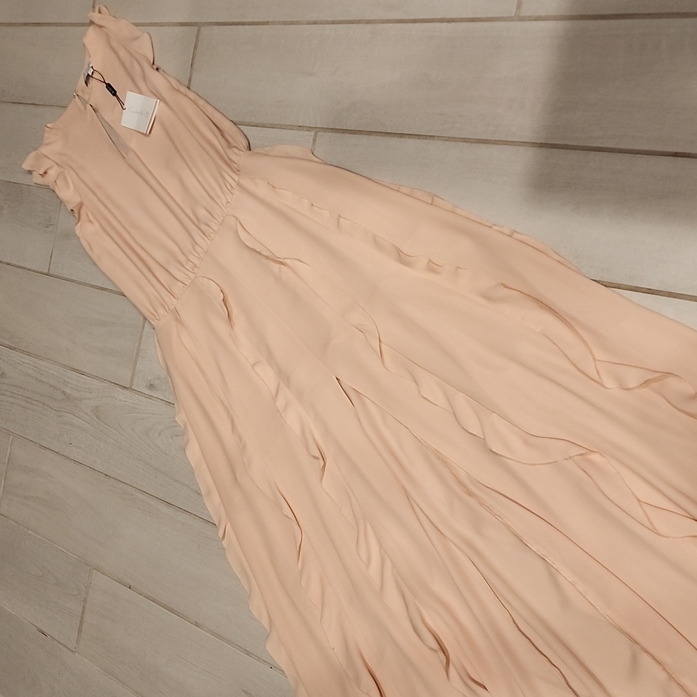Alexis Frances Ruffled Maxi Dress - Picture 6 of 8